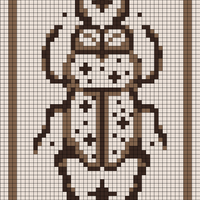 beetle.jpg