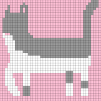 kitty