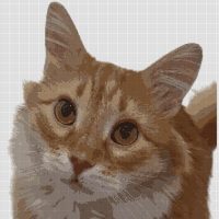 Untitled design (1).png
