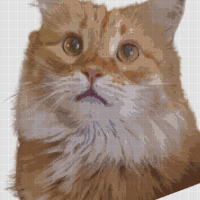Untitled design (4).png