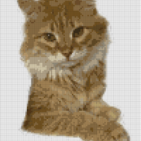Untitled design (5).png