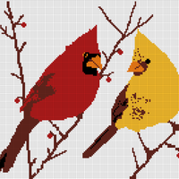 CardinalPairGraph.png
