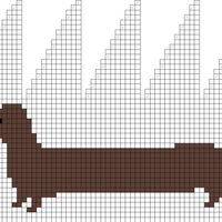 Dachshund