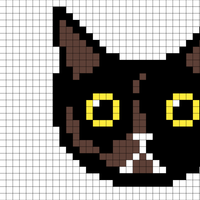 cattttt