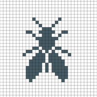 Flies