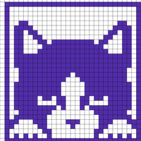Cat Forward View