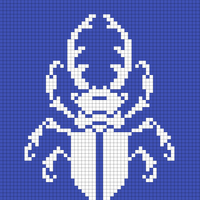 beetle 2