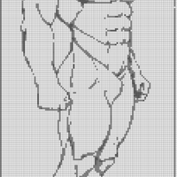Anatomy- Muscles 