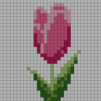 Tulip