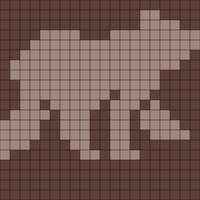 Baby bear