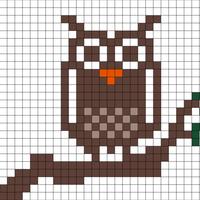 Copy of Owls