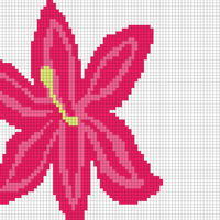 Copy of lily 