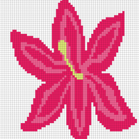 Copy of lily 