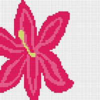 lily 1