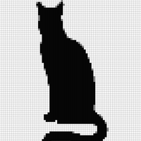 katze.webp