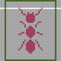 Ant