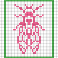 Cicada