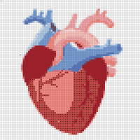 Corazon.PNG