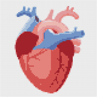 Copy of Corazon.PNG
