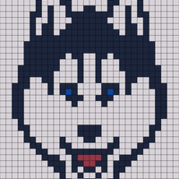Copy of Uconn.jpg