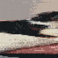 IMG_3516.jpeg