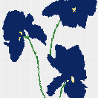 Copy of IMG_3955.png