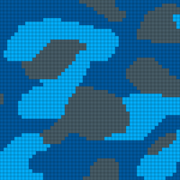 CAMO 100 (2)