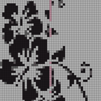 IMG_8635.png