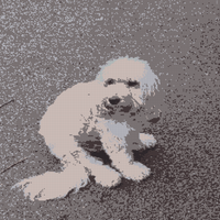 Phoebe wistful in park.jpg