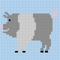 Copy of Pig