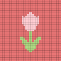 tulip