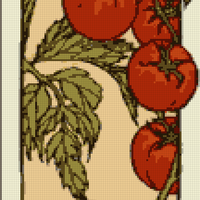 Copy of tomatoes.png