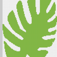 Monstera