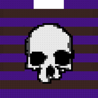 skull front panel