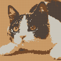 猫.jpg
