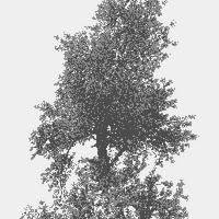 IMG_6320.jpeg