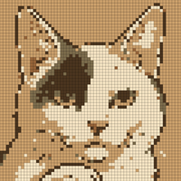 1000007604.png
