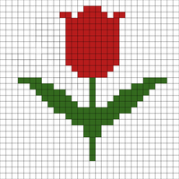 Tulip