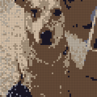 IMG_7474.png