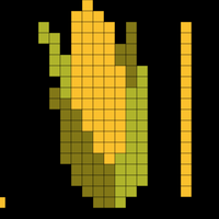 Copy of Corn socks
