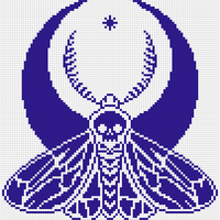 moth