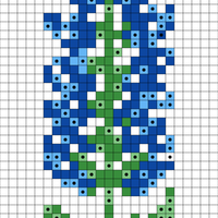Bluebonnets