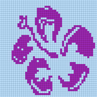 orchid