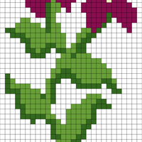 flower socks