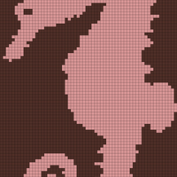 pink-seahorse-on-brown.png