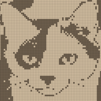 1000007509.png
