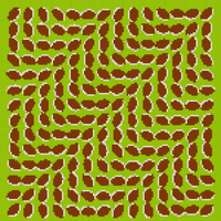 opillusions2_620.jpg