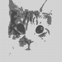 Copy of Screenshot_20250521_013720_Photo Editor.jpg