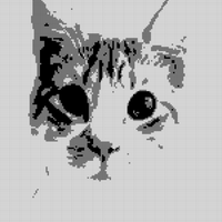 Screenshot_20250521_013720_Photo Editor.jpg