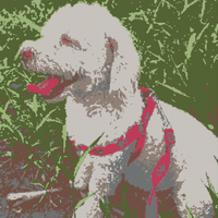 Copy of JENN